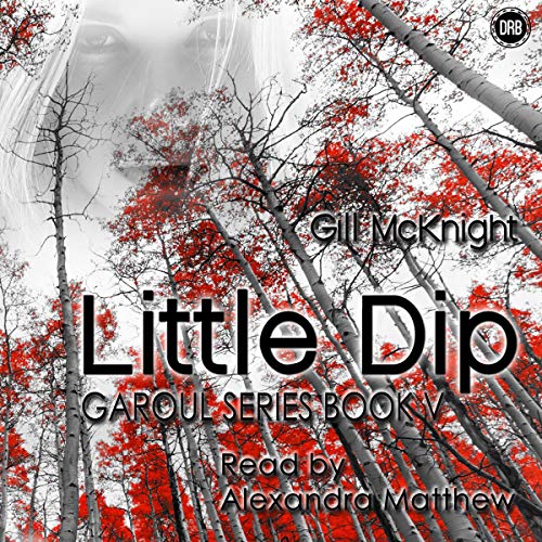 Cover of Little Dip