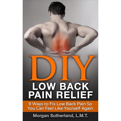 Cover of DIY Low Back Pain Relief