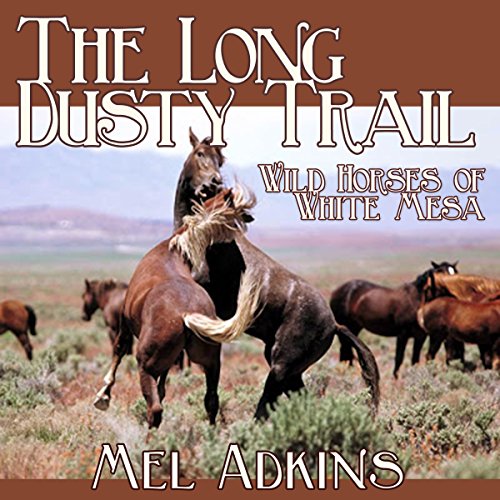 Cover of Wild Horses of White Mesa
