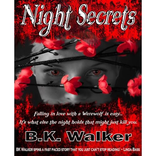 Cover of Night Secrets