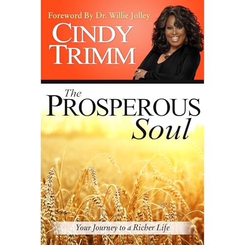 Cover of The Prosperous Soul