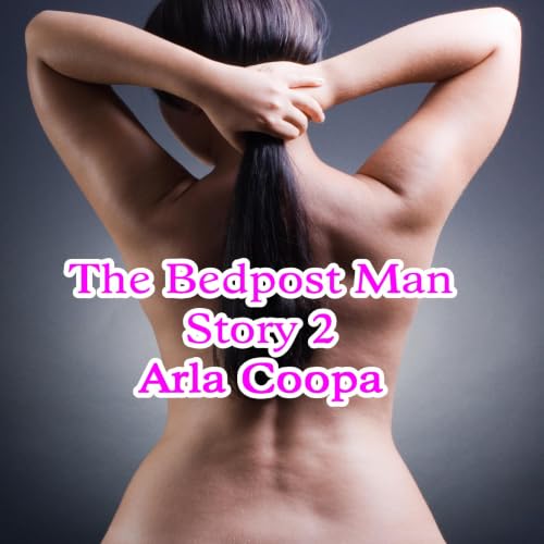 Cover of The Bedpost Man: Story 2