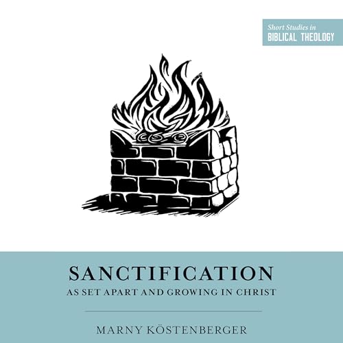 Cover of Sanctification as Set Apart and Growing in Christ