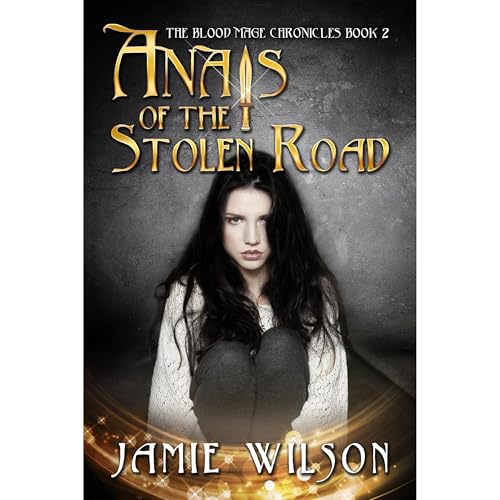 Cover of Anais of the Stolen Road