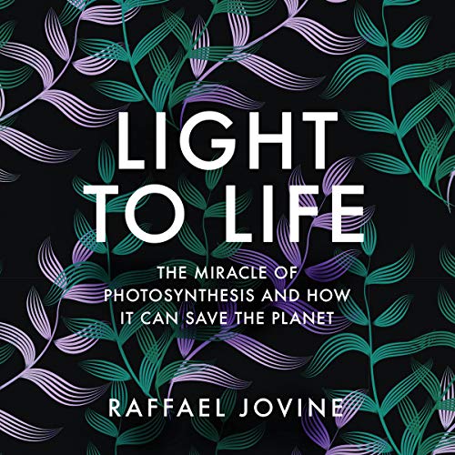 Cover of Light to Life