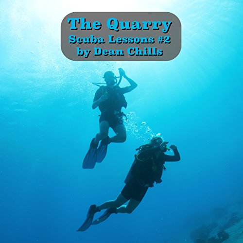 Cover of The Quarry