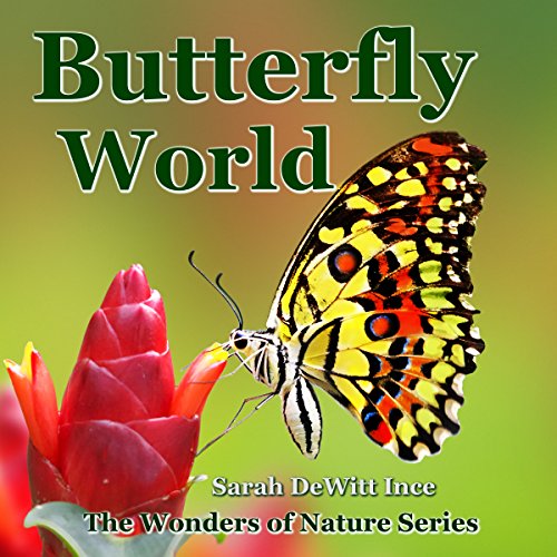 Cover of Butterfly World