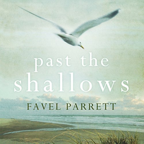 Cover of Past the Shallows