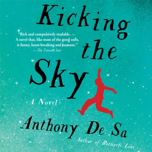 Cover of Kicking the Sky