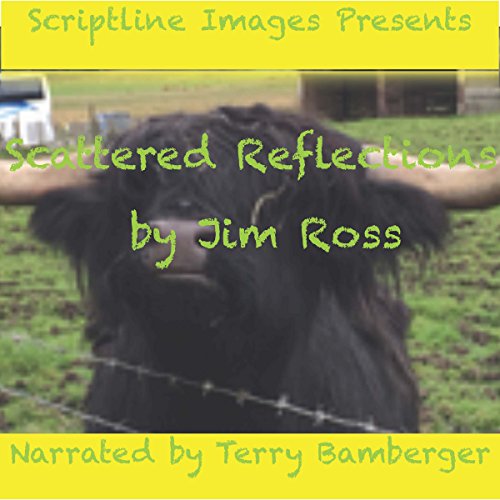 Cover of Scattered Reflections