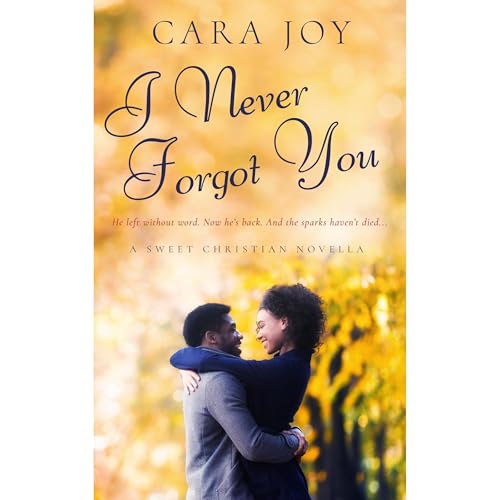 Cover of I Never Forgot You