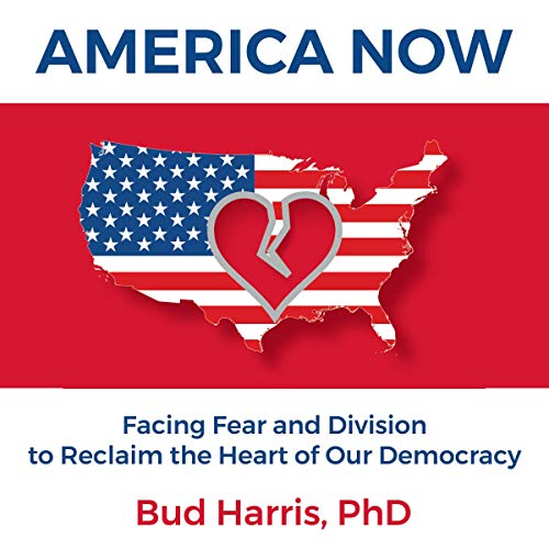 Cover of America Now