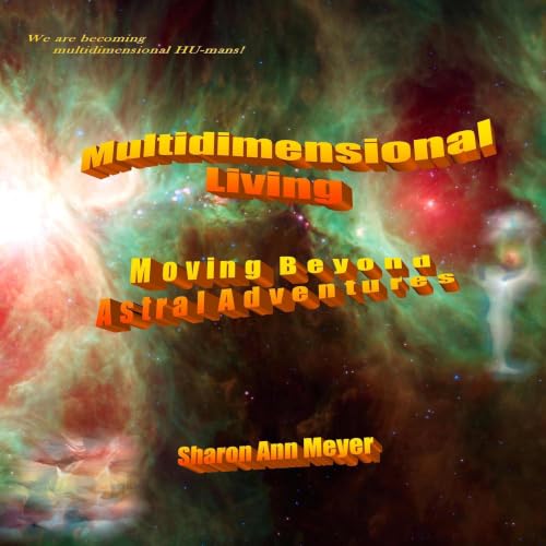 Cover of Multidimensional Living