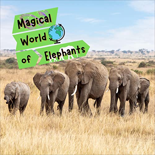 Cover of Magical World of Elephants