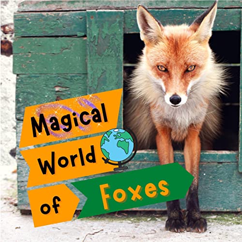 Cover of Magical World of Foxes