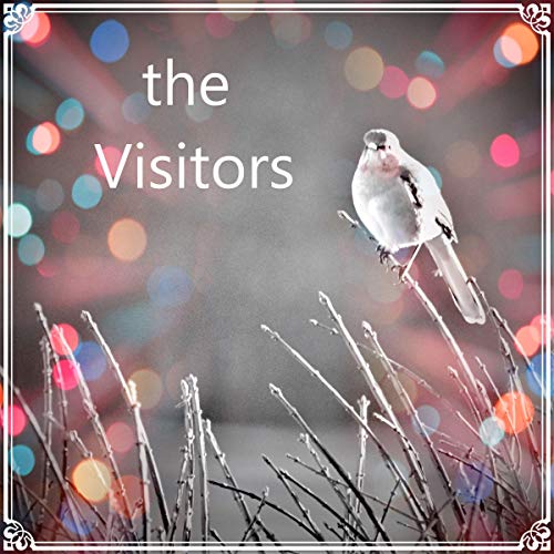 Cover of The Visitors