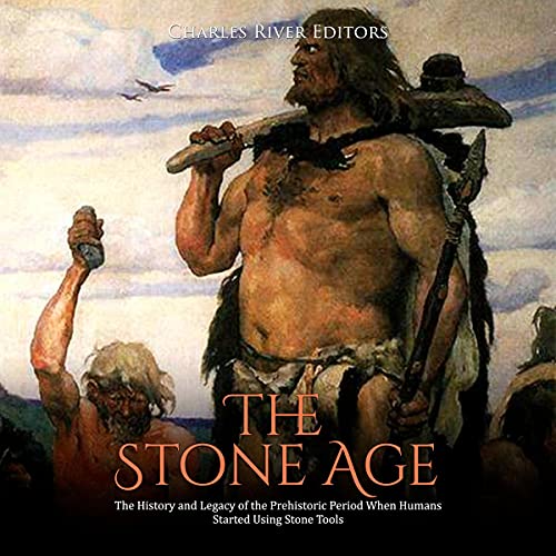 Cover of The Stone Age