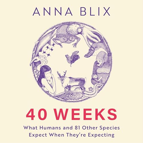 Cover of 40 Weeks