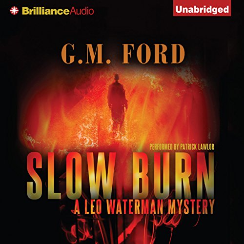 Cover of Slow Burn