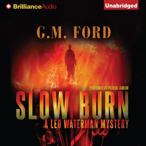 Cover of Slow Burn