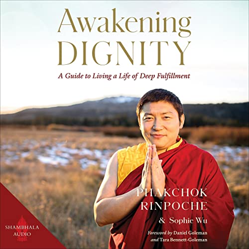 Cover of Awakening Dignity
