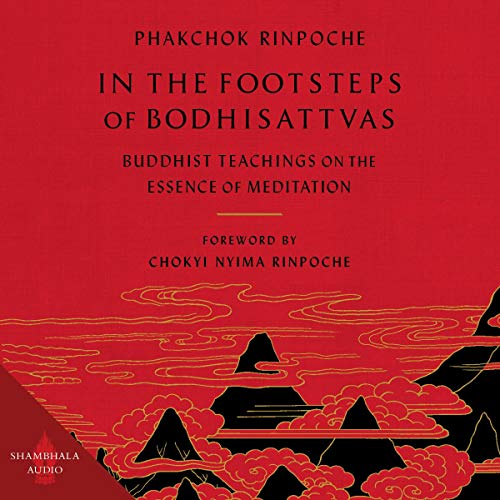 Cover of In the Footsteps of Bodhisattvas