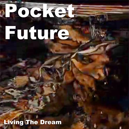 Cover of Pocket Future