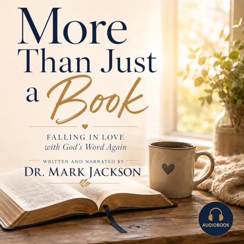 Cover of More than Just a Book