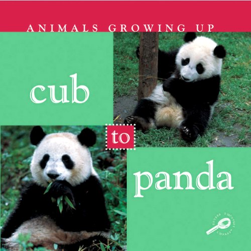 Cover of Animals Growing Up