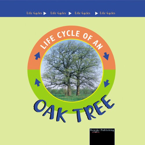Cover of Life Cycles