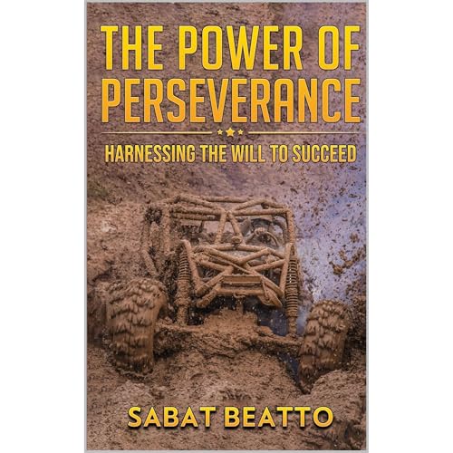 Cover of THE POWER OF PERSEVERANCE