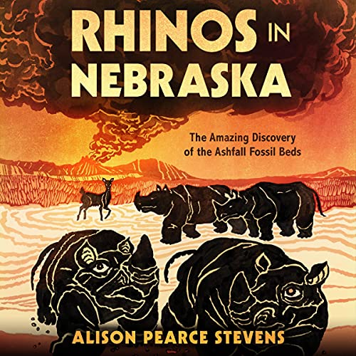 Cover of Rhinos in Nebraska