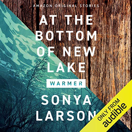 Cover of At the Bottom of New Lake