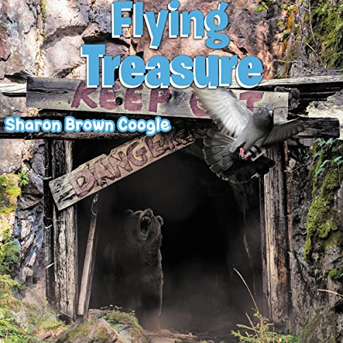 Cover of Flying Treasure
