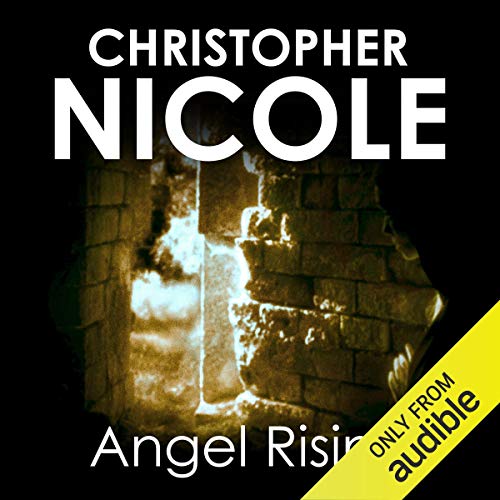 Cover of Angel Rising