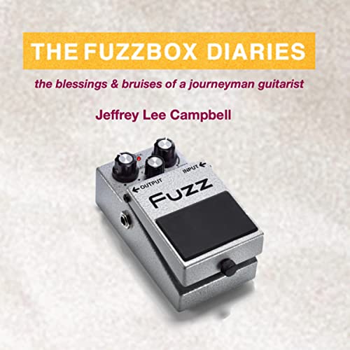Cover of The Fuzzbox Diaries