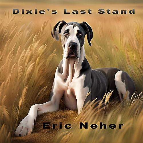 Cover of Dixie's Last Stand