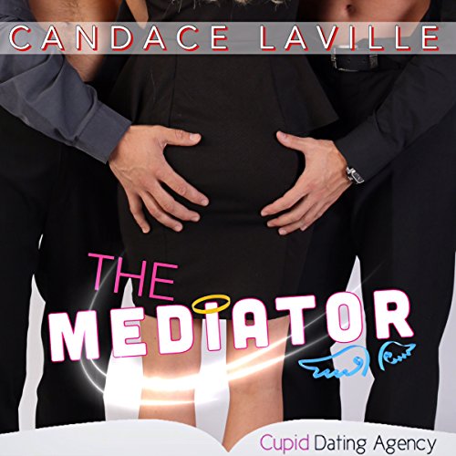 Cover of The Mediator