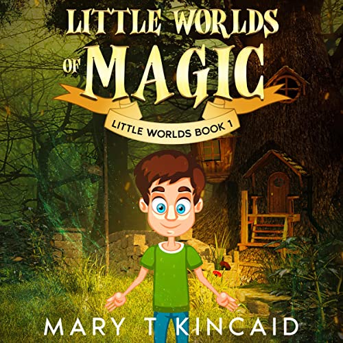 Cover of Little Worlds of Magic