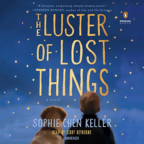 Cover of The Luster of Lost Things