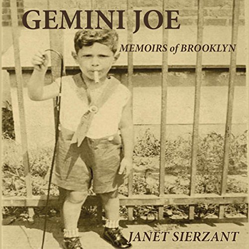 Cover of Gemini Joe: Memoirs of Brooklyn