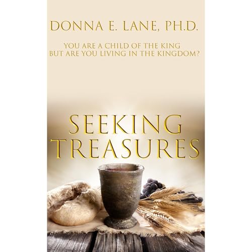 Cover of Seeking Treasures