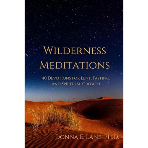 Cover of Wilderness Meditations