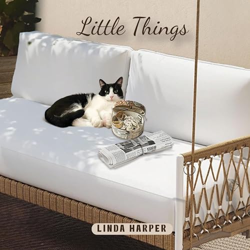 Cover of Little Things