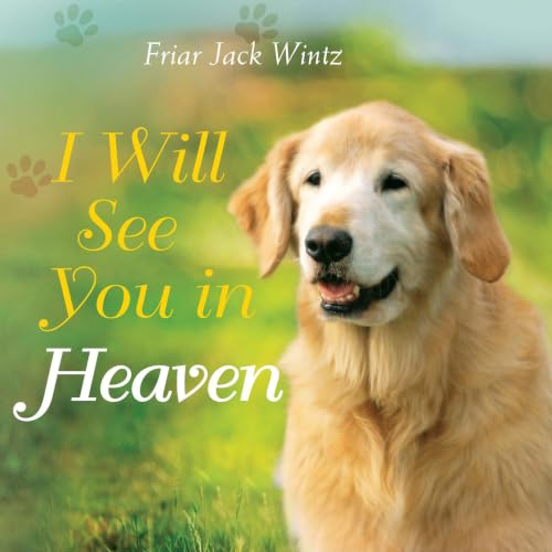 Cover of I Will See You in Heaven