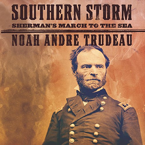 Cover of Southern Storm