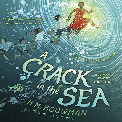 Cover of A Crack in the Sea