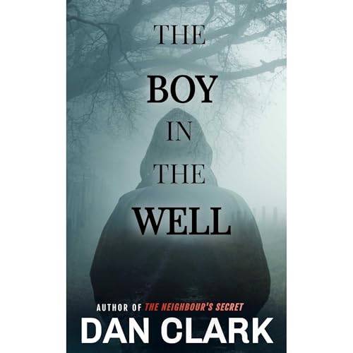 Cover of The Boy in the Well
