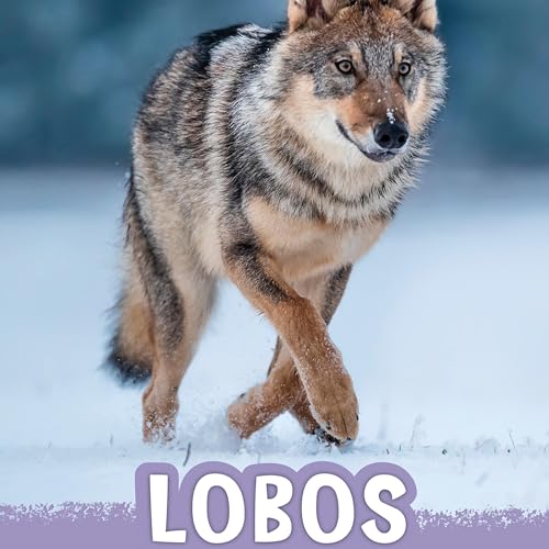 Cover of Lobos [Wolves]
