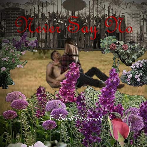 Cover of Never Say No